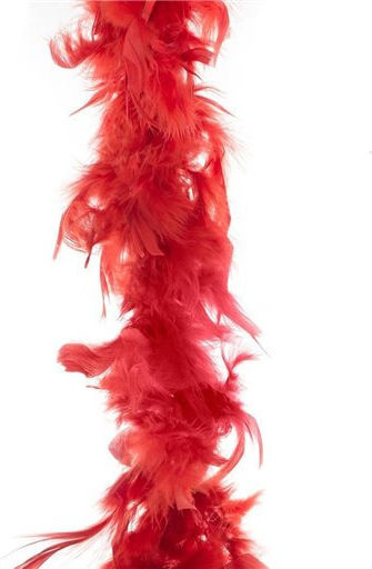 Carnival Boa Red