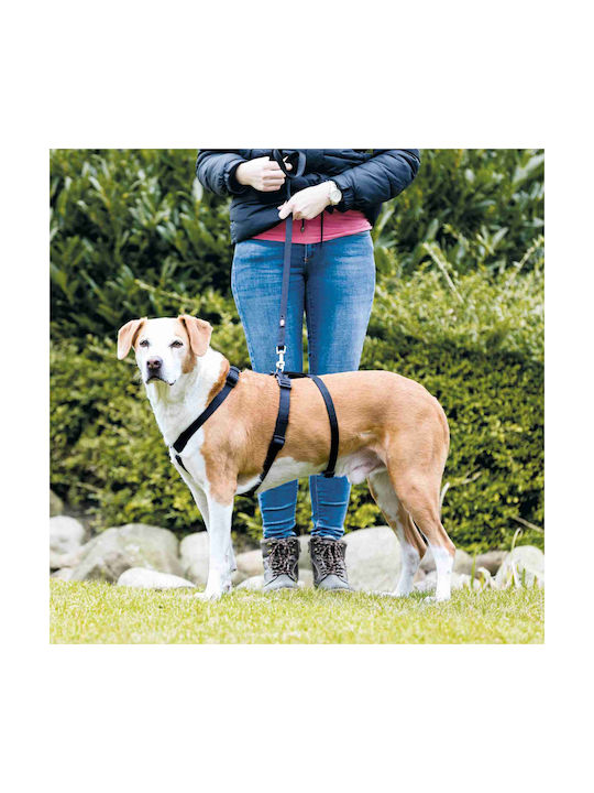 Trixie Dog Harness Stay Black Medium / Small 15mm x 40-65cm 13092