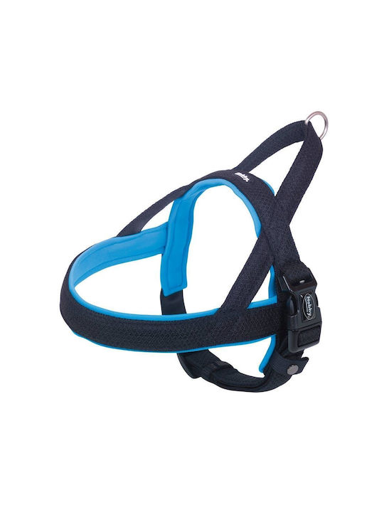 Nobby Training Mesh Harness Turquoise X-Large / Large 45mm x -85cm Nobby Training Mesh Harness Turquoise X-Large / Large 45mm x -85cm