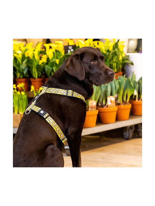 Max & Molly Dog Harness Monkey Maniac Yellow Large 25mm x 70-98cm MM01291