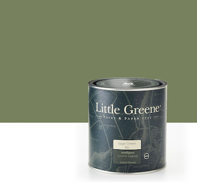 Little Greene Culoare Impregnare Grătare comerciale Absolute Matt Emulsion 1lt Verde Matt