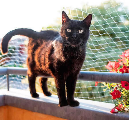 Ferplast Cat Net Katzennetz Schützend aus Metall 200 x 150 x 150cm