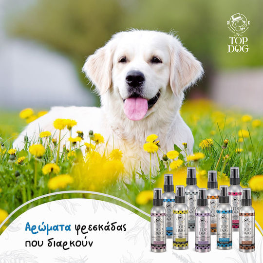Top Dog Orchid Spray Dog Perfume 75ml