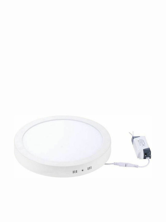 Vito Round Outdoor LED Panel 24W with Natural White Light 4000K 30cm