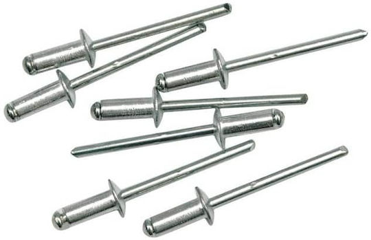 FFG Πριτσίνια Aluminium M4.8x10mm 500Stück