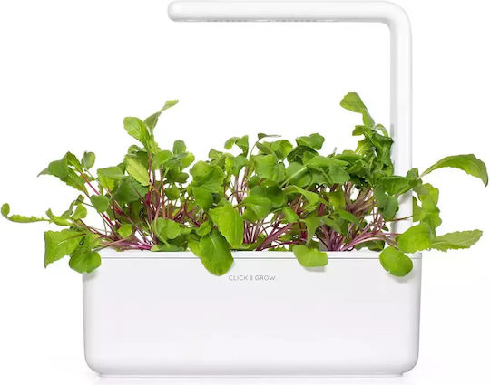 Click and Grow Семена Репички 3бр