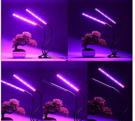 Desk Grow Light with LED