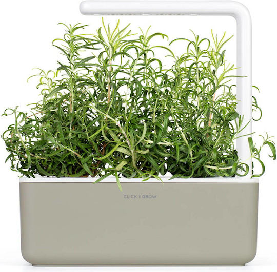 Click and Grow Σπόροι Δενδρολίβανο 3τμχ