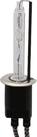Lamps Car H1 Xenon 4300K Natural White 55W 1pcs