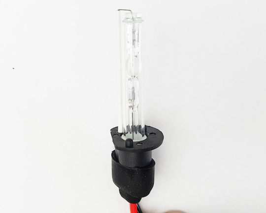 Lamps Car H1 Xenon 4300K Natural White 55W 1pcs