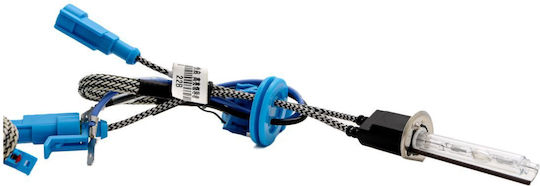 Lamps Car H1 Xenon 4300K Natural White 55W 1pcs