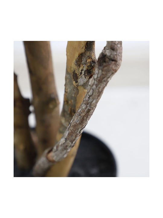 Ficus Tree Φίκος Εξωτερικού Χώρου 180cm Newplan