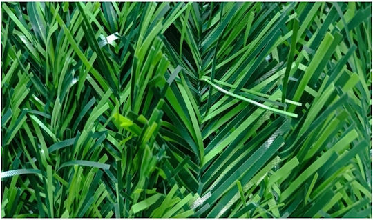 Ecoshadow Συνθετική Φυλλωσιά σε Ρολό Θάμνος 3x1.5m