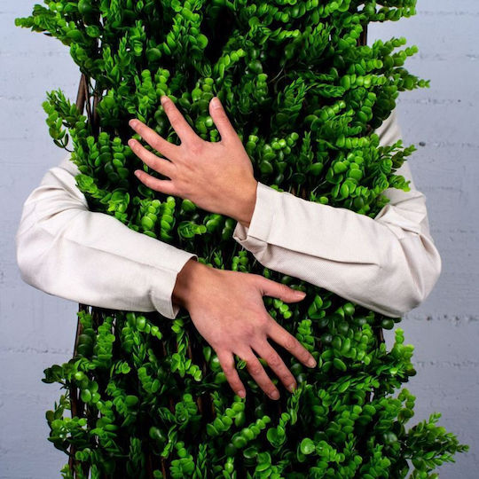 Supergreens Изкуствената листва е в Мрежа Boxwood 2x1м