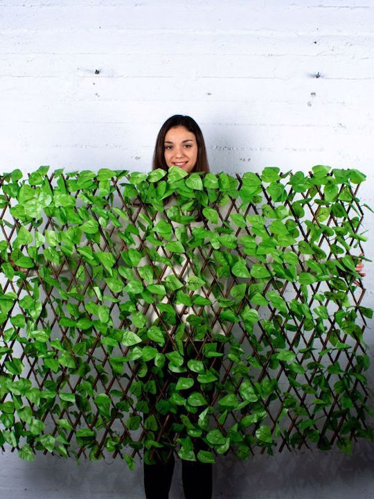 Supergreens Artificial Foliage in Trellis Friend Benjamin 2x1m