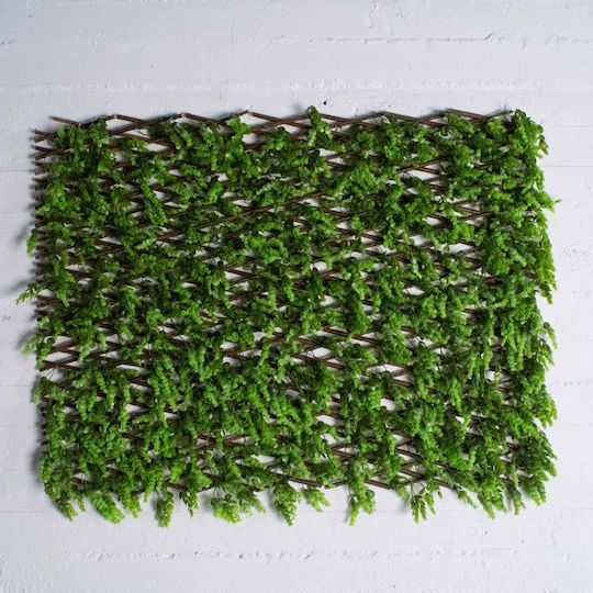 Supergreens Изкуствената листва е в Мрежа Boxwood 2x1м