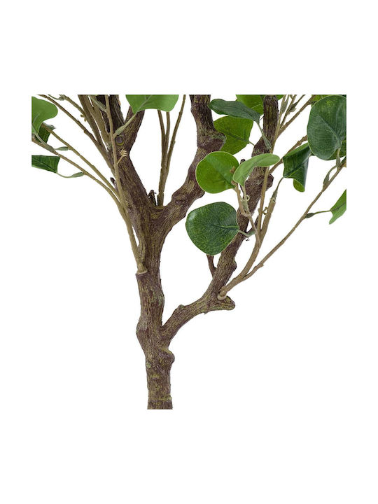 Eucalyptus in Potted Plant 120cm GloboStar