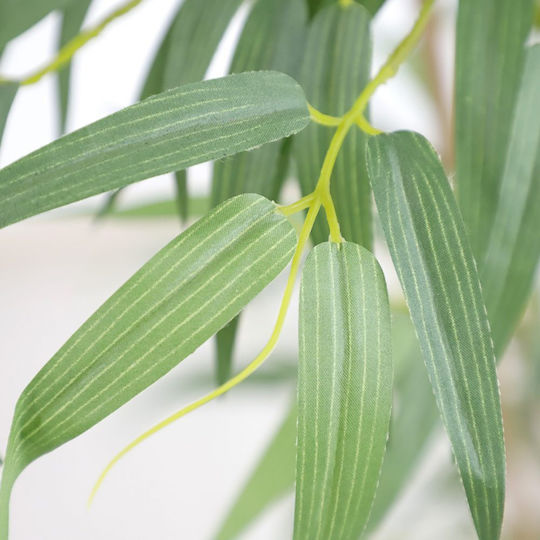 Newplan Outdoor Bamboo