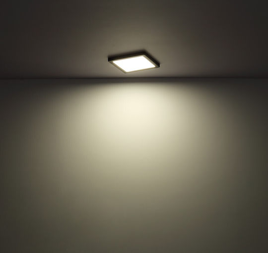 Globo Lighting Квадрат На открито LED Панел 12W с Студено бяло Светлина 6500К
