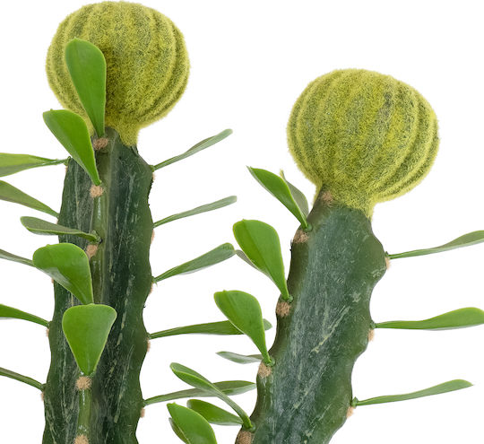 Künstlicher Baum für den Außenbereich Kaktus Grün 120cm 2Stück GloboStar