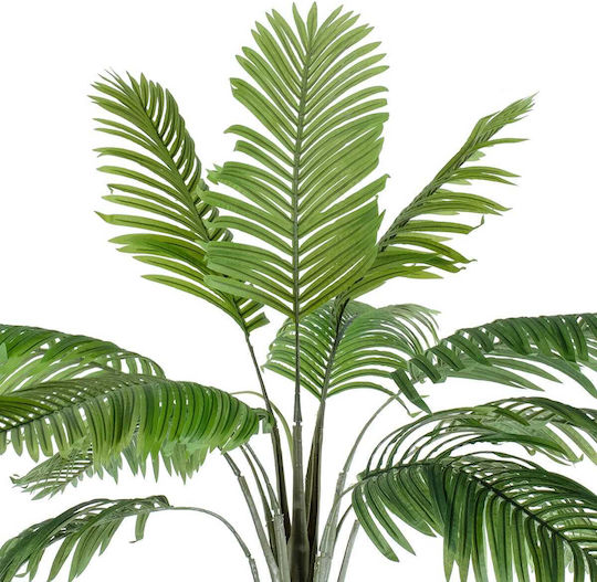 Outdoor Palm Tree 250cm GloboStar