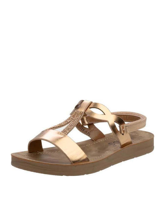 IQ Shoes