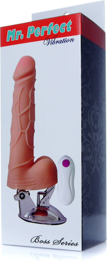 Kinksters Mr. Perfect Ρεαλιστικός Δονητής με Remote Control 12 Functions 24cm Flesh