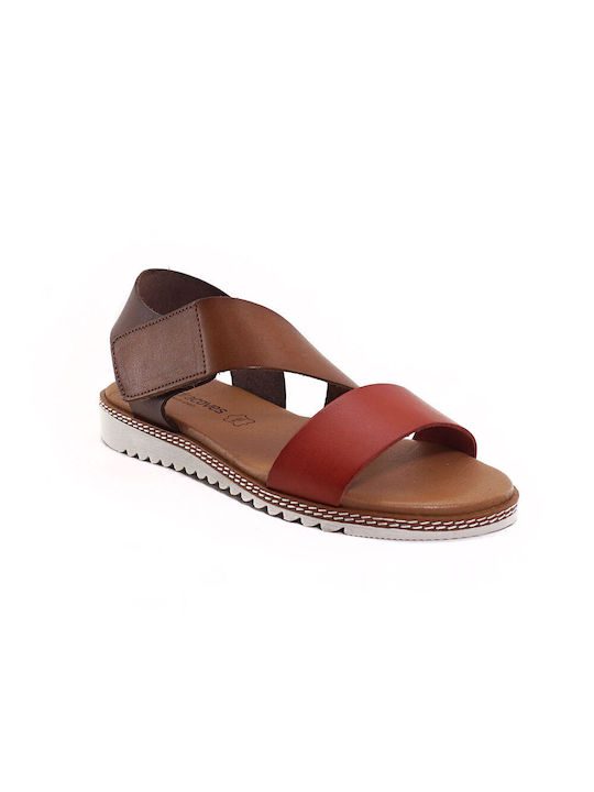 FLAT PEDAL BROWN MULTI SANDRA COVES - 2224 BROWN MULTI