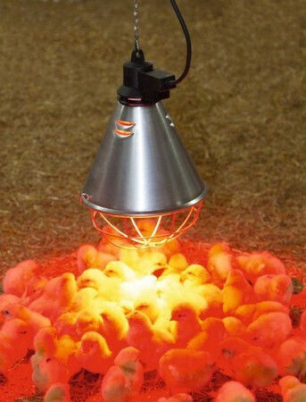 Kerbl Incubator Accessory
