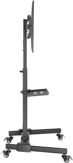 AvLink 129.204UK Suport TV pardoseală până la 55" și 35kg