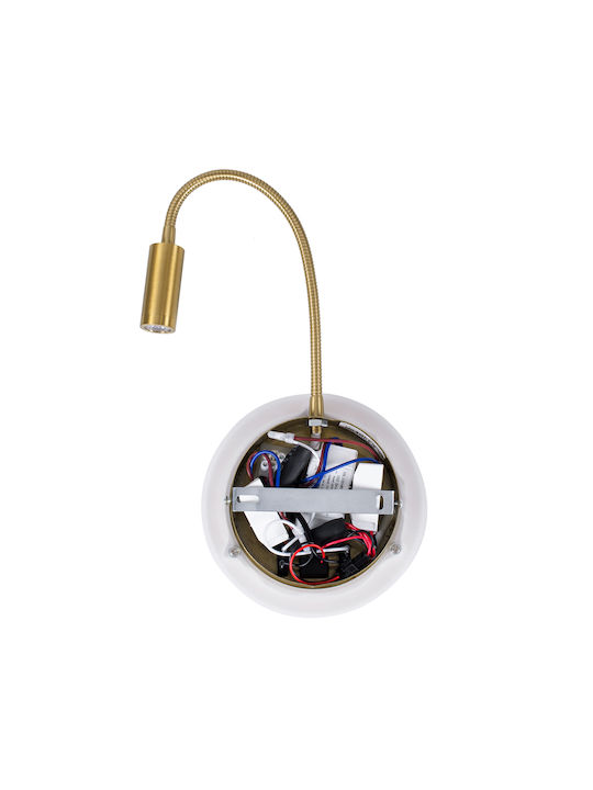 GloboStar Goose Single LED Natural White Spot in Gold Color