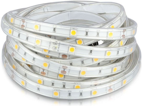 V-TAC Waterproof LED Strip 12V Natural White Light 5m Type SMD5050