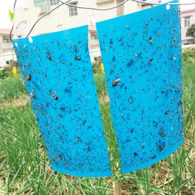Gemma G-Trap Βιολογικό Παγίδα για Μύγες & Μυρμήγκια Μπλε 10x23cm 10τμχ