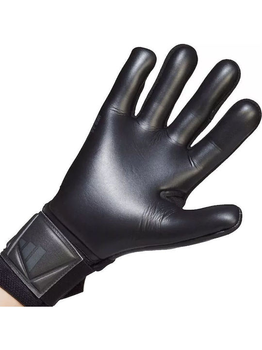 adidas Predator Competition Adults Goalkeeper Gloves Black
