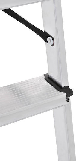 Palbest Hobby Ladder Aluminum with 3+1 Steps 153cm