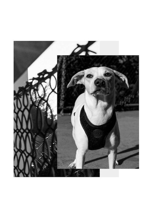 Zee-Dog Ham de câine Vestă Air Mesh Ham pentru câini extra mic negru Negru X-Small 702687