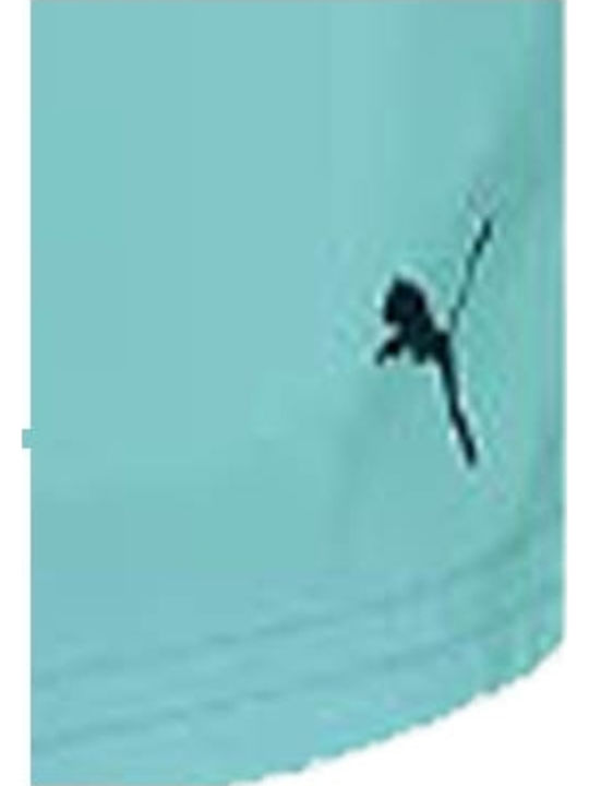 Men's Swimwear Shorts Mint