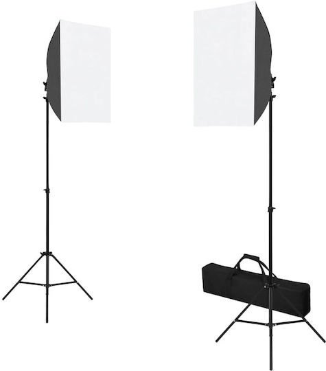 vidaXL Kit Foto- und Videobeleuchtungsset 2 Leuchten 24W mit Softbox und Stativ