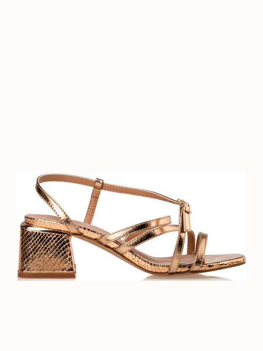 Envie Shoes