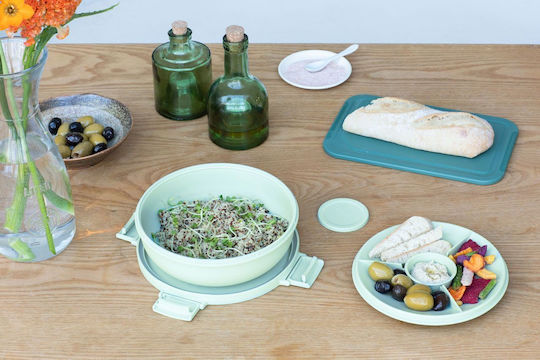 Brabantia Δοχείο Φαγητού Πλαστικό Πράσινο με Χωρίσματα 1.3lt