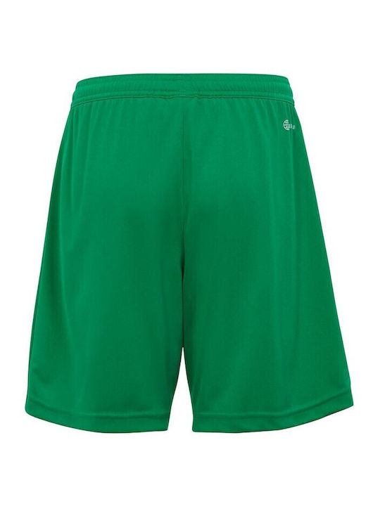 Kids' Athletic Shorts/Bermudas Entrada 22 Green