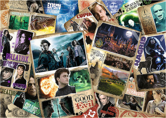 Harry Potter Characters Puzzle 2D 2000 Pieces