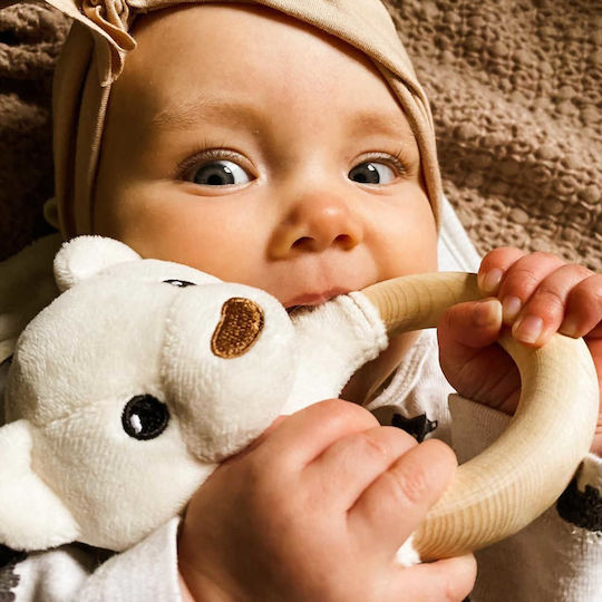 Whisbear Bear Μασητικός Κρίκος Οδοντοφυΐας από Ξύλο για 0 m+