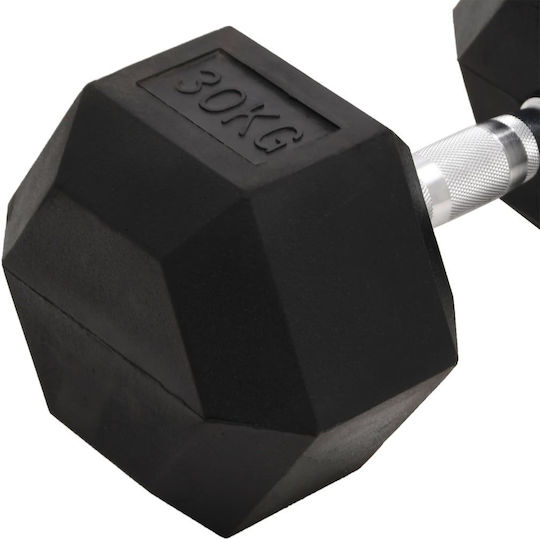 vidaXL Sechseck-Hantel 1 x 30kg