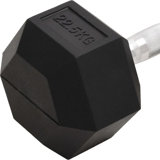 vidaXL Hexagon Dumbbell 1 x 22.5kg