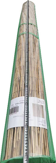 ArteLibre Bambuszaun mit Ganzes Schilf 1.5x3m 14850002 ArteLibre Bambuszaun mit Ganzes Schilf 1.5x3m 14850002