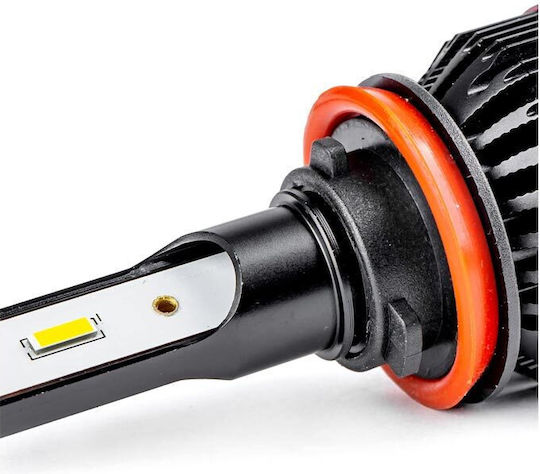 AMiO Λάμπες Αυτοκινήτου BF Series H11 / H8 / H9 LED 6000K Ψυχρό Λευκό 12V 50W 2τμχ