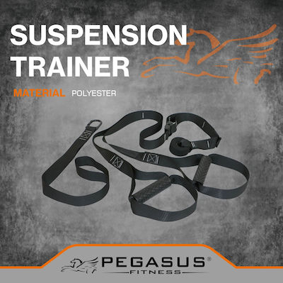 Pegasus Suspension Straps
