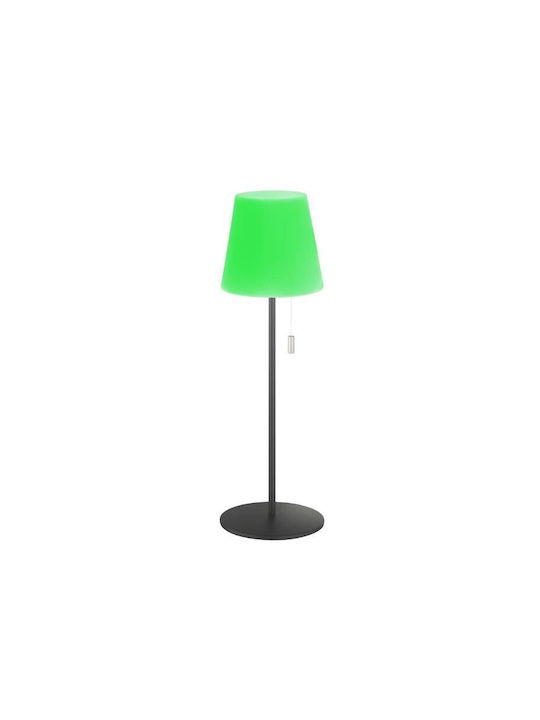 Fischer Honsel Fischer Honsel Outdoor Floor Lamp LED RGB White