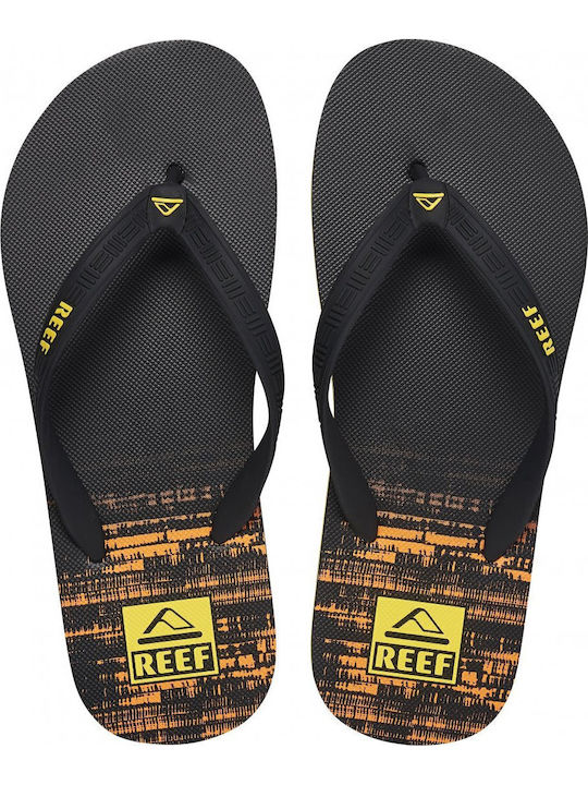 Reef